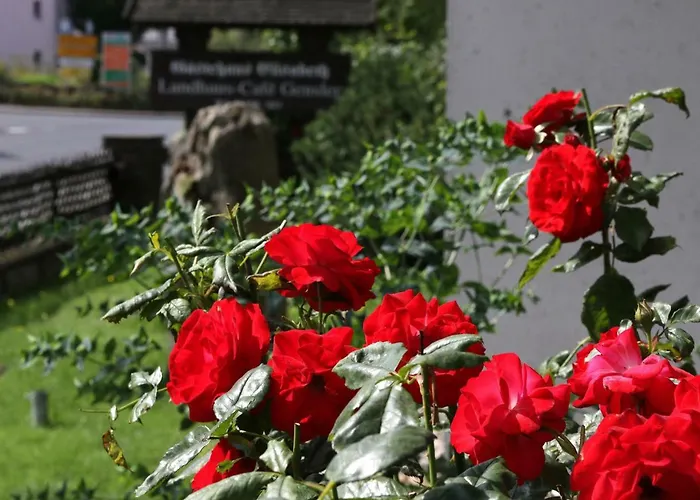 Gaestehaus Elisabeth 3* Poppenhausen